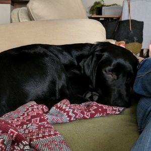 Meet your Posher, Kelly